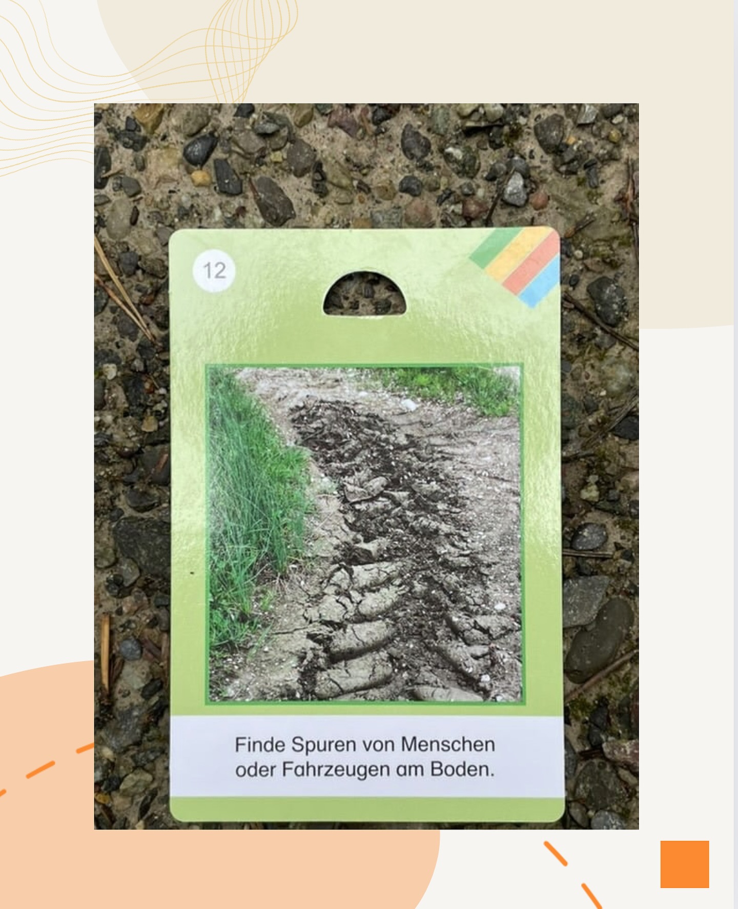 Bild aus dem Instagram-Beitrag &laquo;Am Montag ging es f&uuml;r unsere Sch&uuml;ler raus in die Natur, und was f&uuml;r ein &hellip;&raquo;