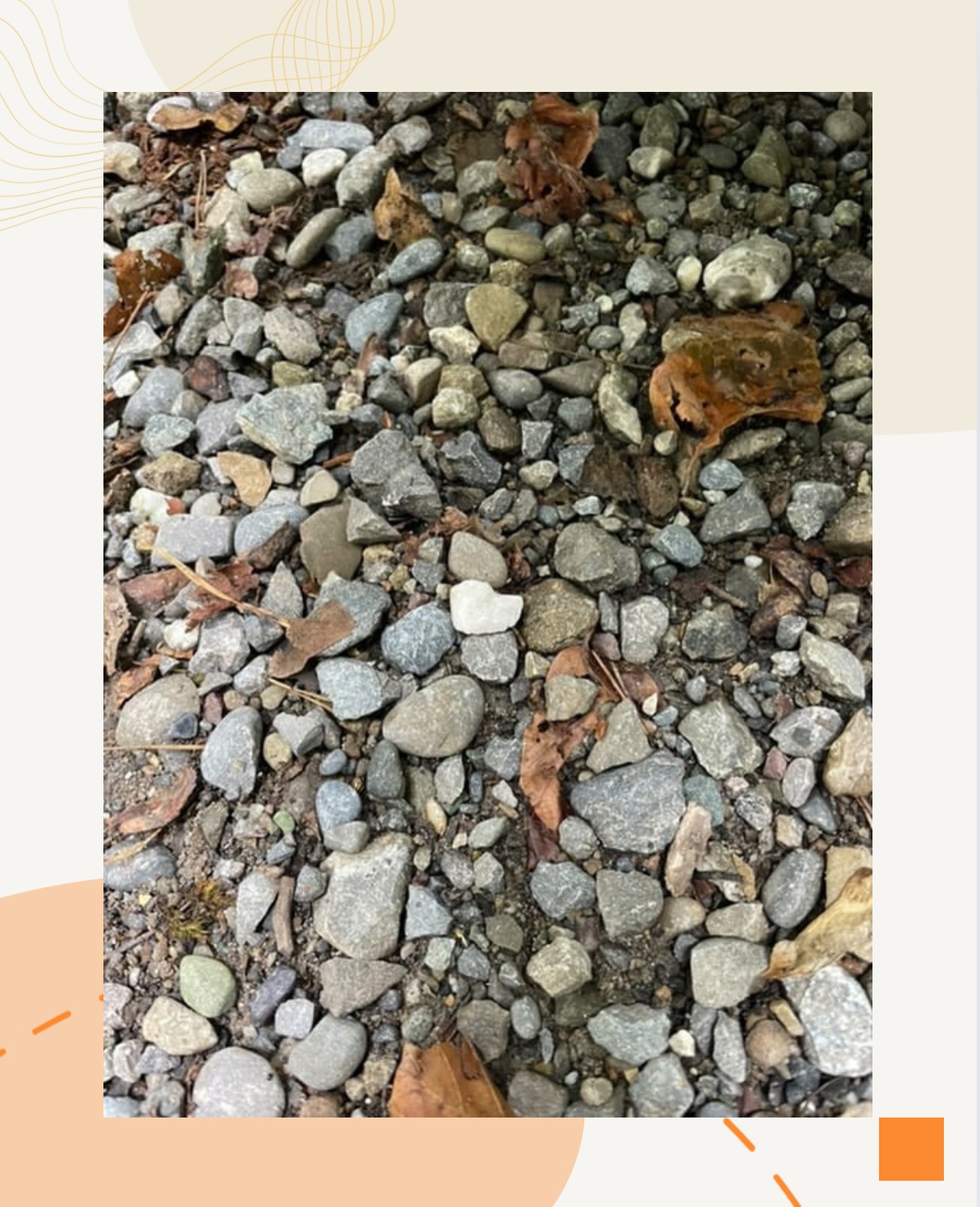 Bild aus dem Instagram-Beitrag &laquo;Am Montag ging es f&uuml;r unsere Sch&uuml;ler raus in die Natur, und was f&uuml;r ein &hellip;&raquo;