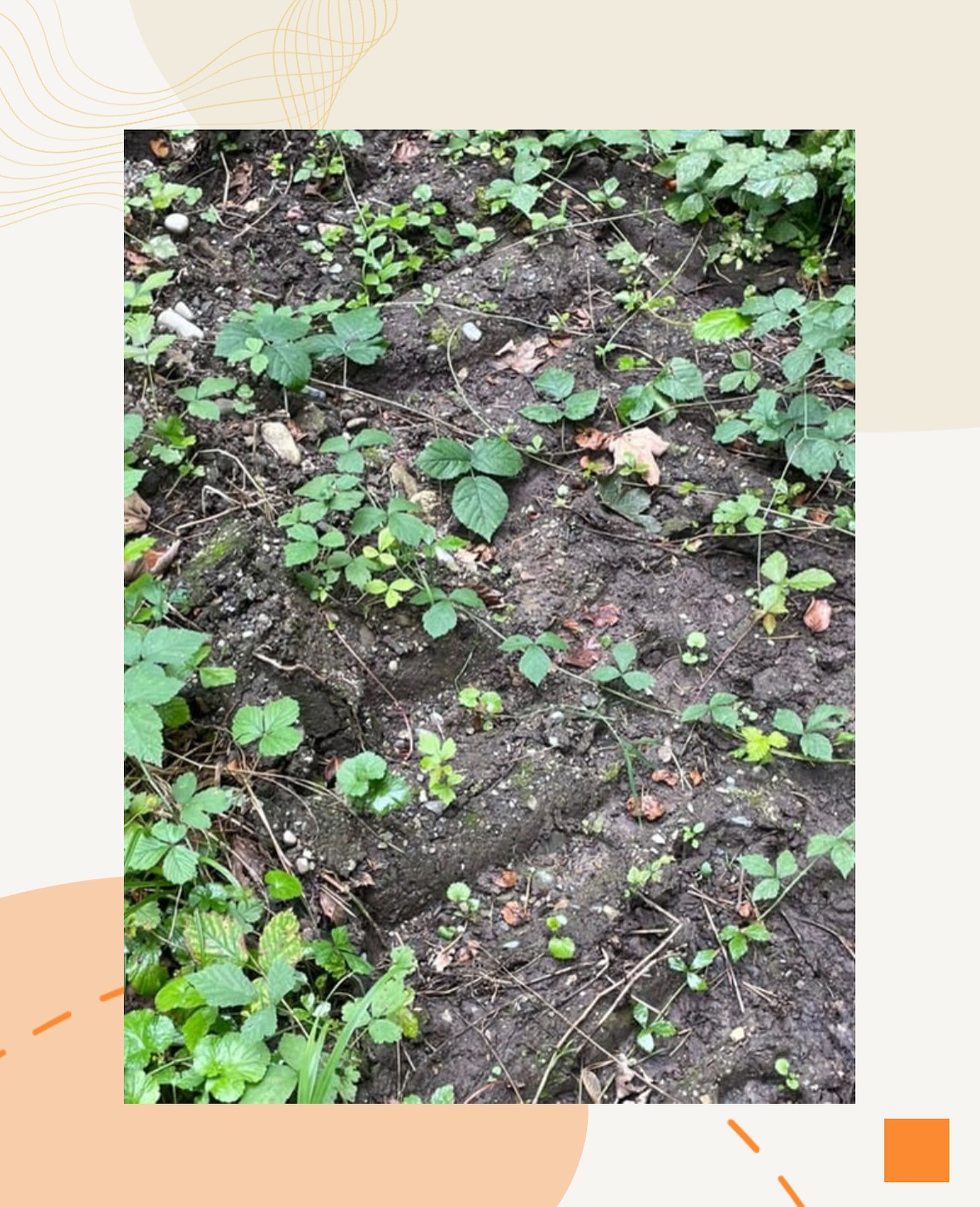 Bild aus dem Instagram-Beitrag &laquo;Am Montag ging es f&uuml;r unsere Sch&uuml;ler raus in die Natur, und was f&uuml;r ein &hellip;&raquo;