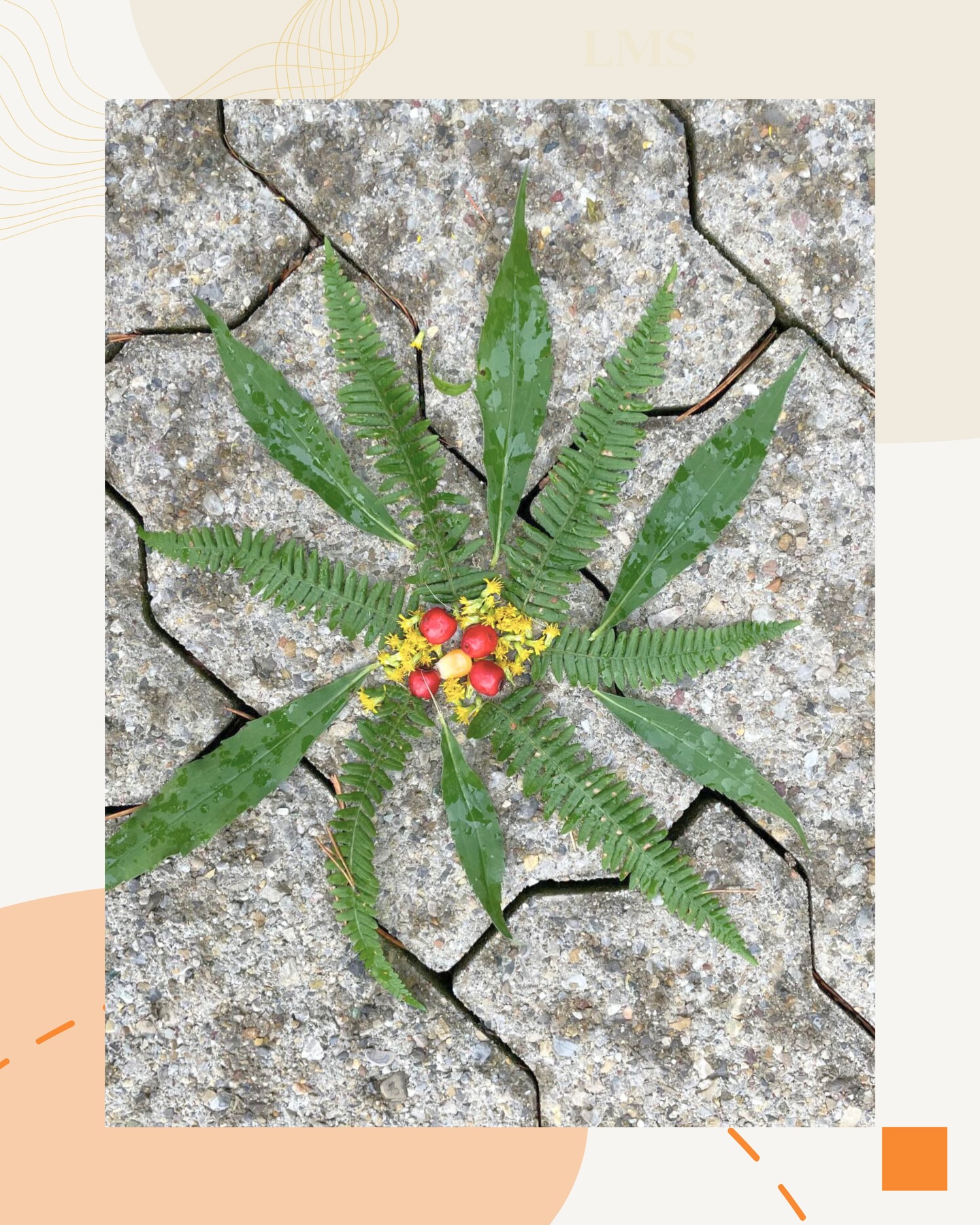 Bild aus dem Instagram-Beitrag &laquo;Am Montag waren wir wieder im Wald unterwegs Auf dem Programm stand: Mandalas &hellip;&raquo;