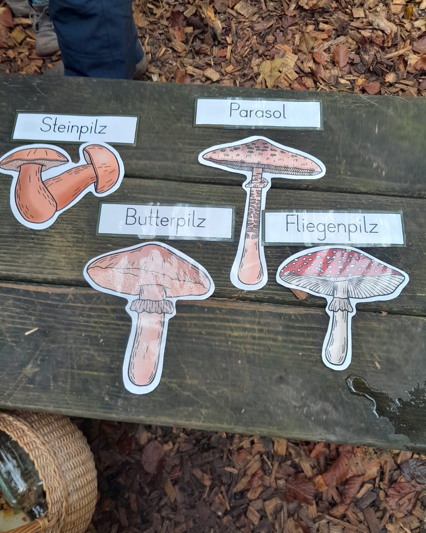 Bild aus dem Instagram-Beitrag &laquo;Am Montag waren wir mit unseren Sch&uuml;lerinnen und Sch&uuml;lern wieder im Wald &hellip;&raquo;