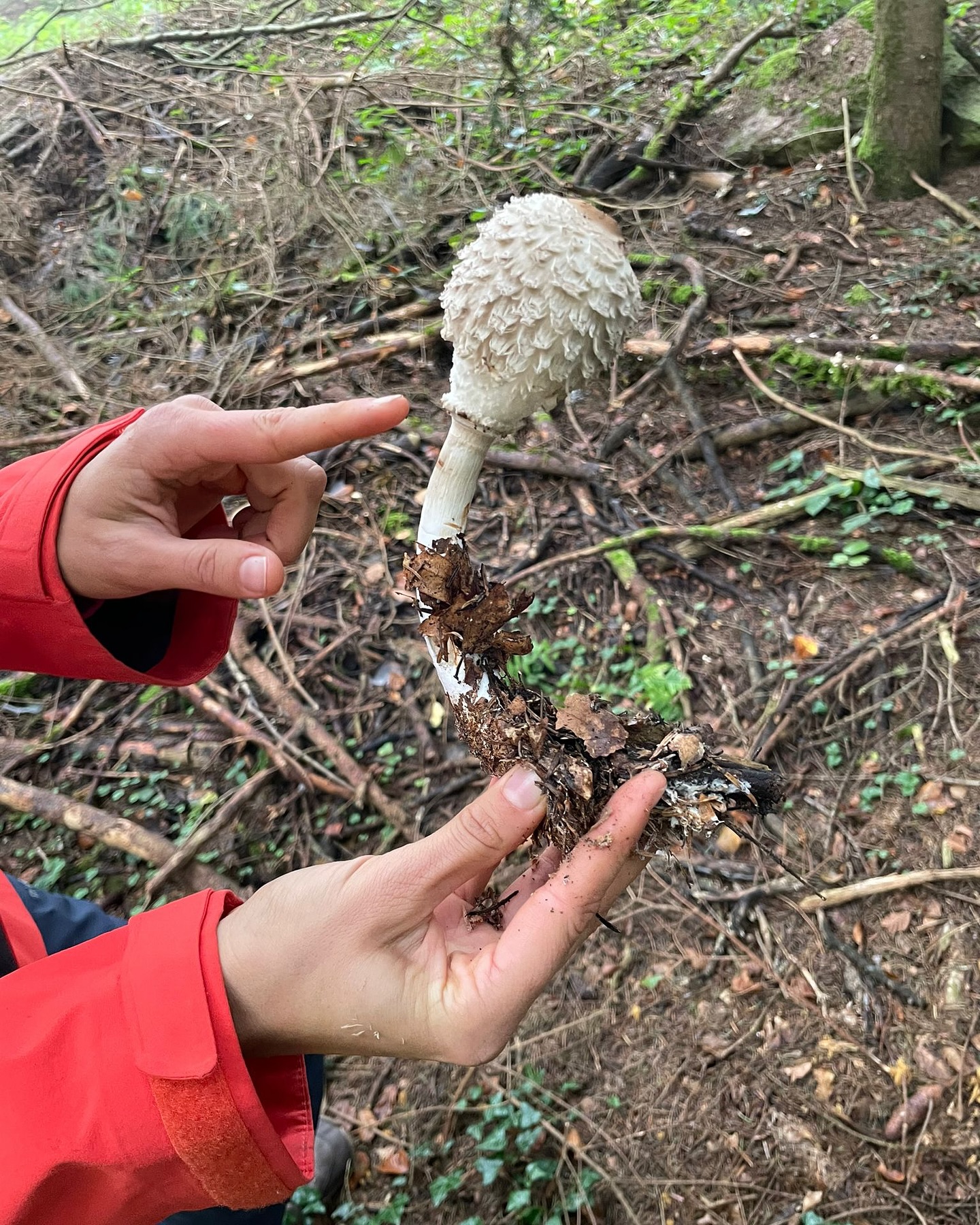 Bild aus dem Instagram-Beitrag &laquo;Am Montag waren wir mit unseren Sch&uuml;lerinnen und Sch&uuml;lern wieder im Wald &hellip;&raquo;