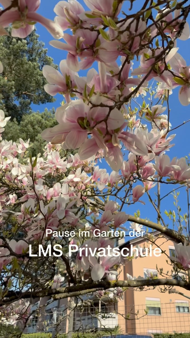 Bild aus dem Instagram-Beitrag &laquo;Unsere Pausen im grossen Garten sind f&uuml;r die Kinder echte Highlights des Tages!&raquo;
